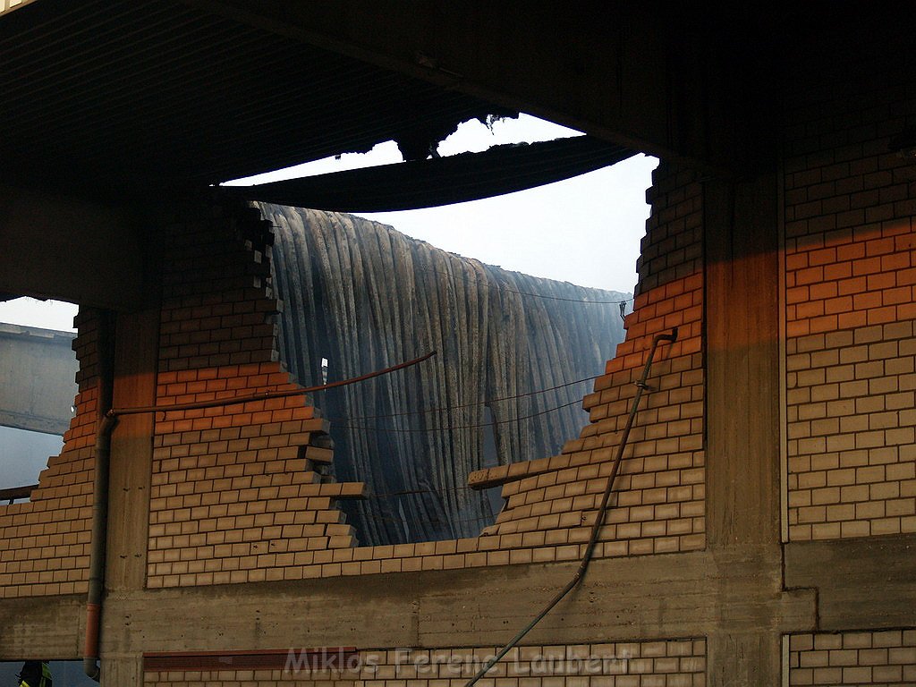 Grossbrand Halle auf dem Grossmarkt Koeln P815.JPG